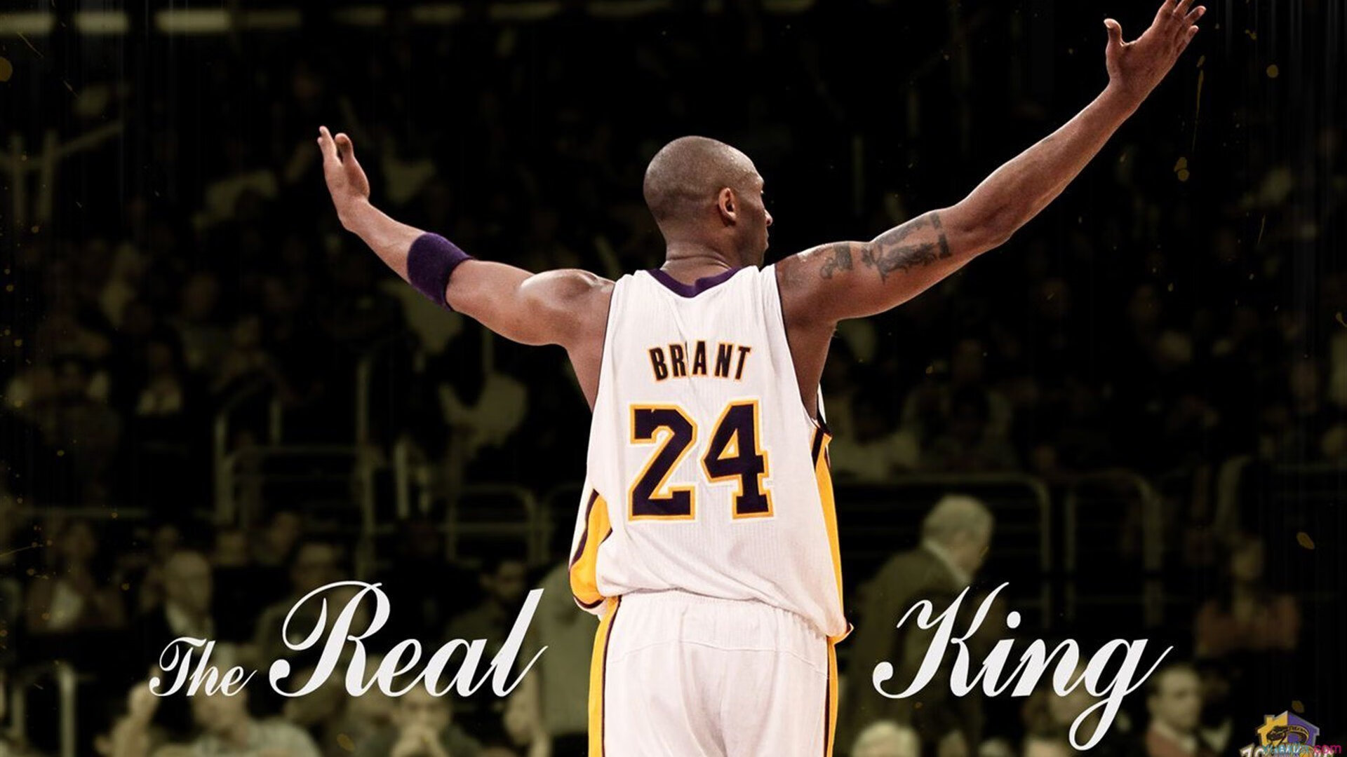 “新加坡泳池热战！游泳与水上芭蕾让观众大呼过瘾”