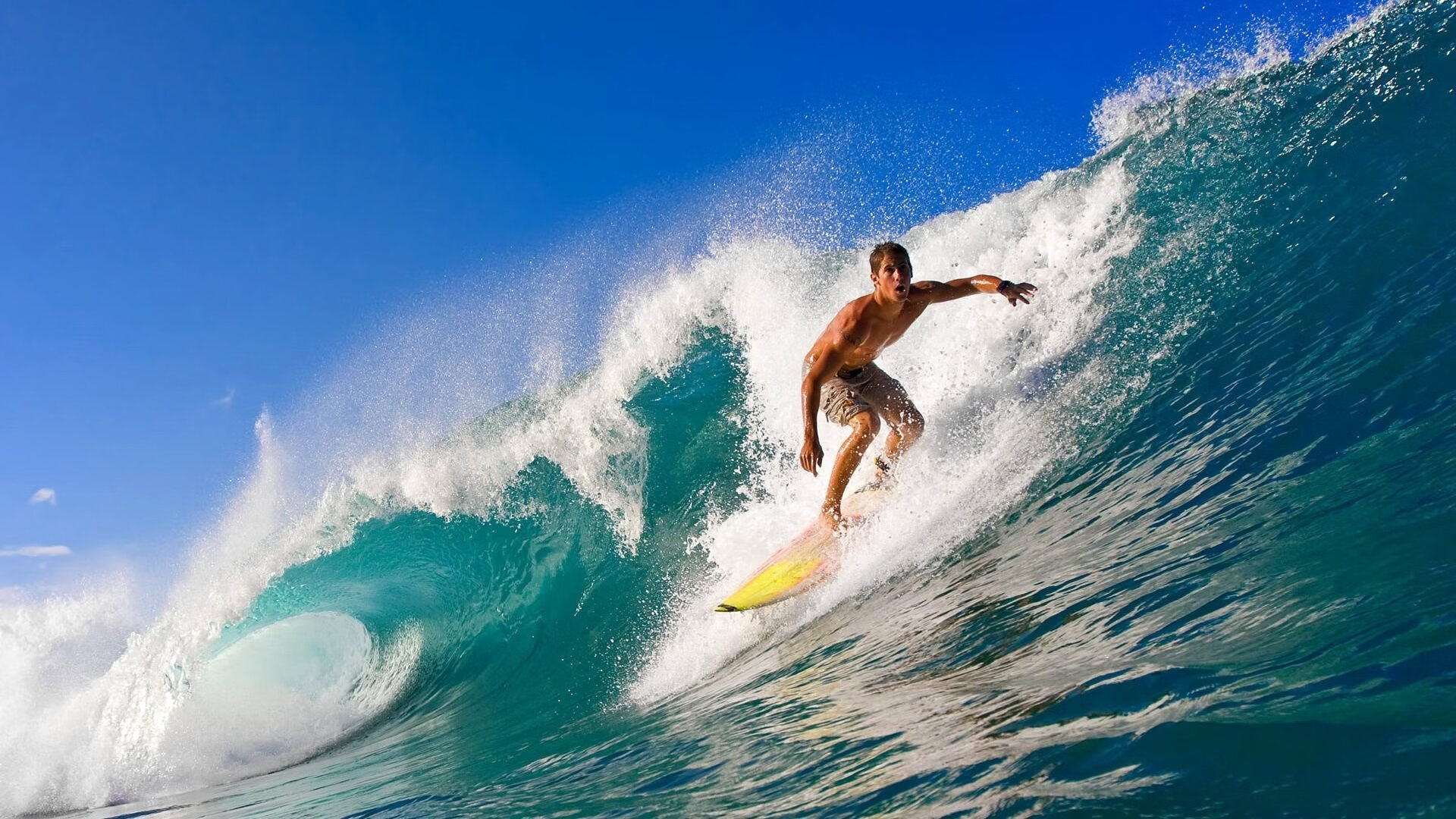 中国女泳队团队氛围积极,中国游泳女队名将