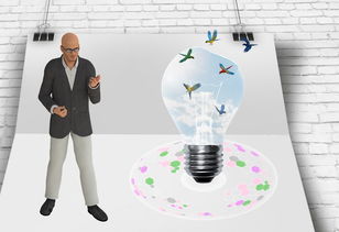 中国篮球职业联赛俱乐部财务风险管理及控制，篮球俱乐部的风险与对策